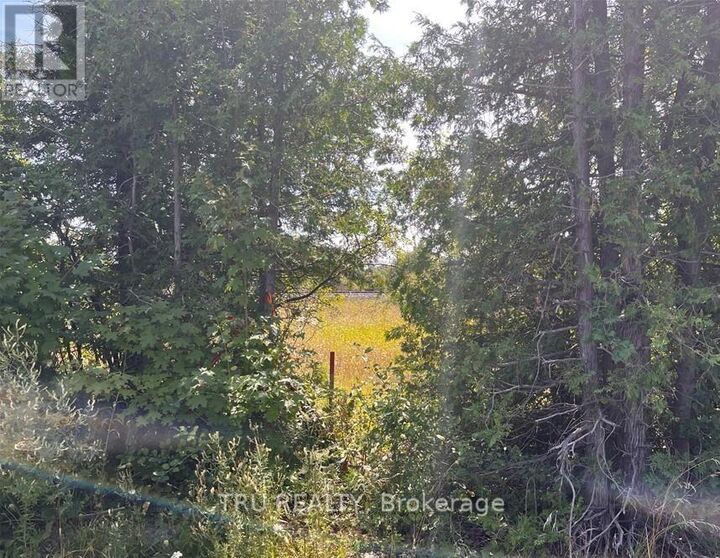 Property Photo:  394 Scotch Line Road  ON K0G 1J0 