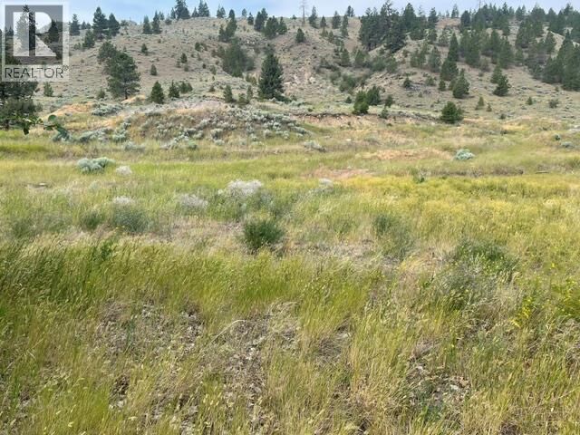 Photo de la propriété:  1129 Midday Valley Road  BC V1K 0A3 