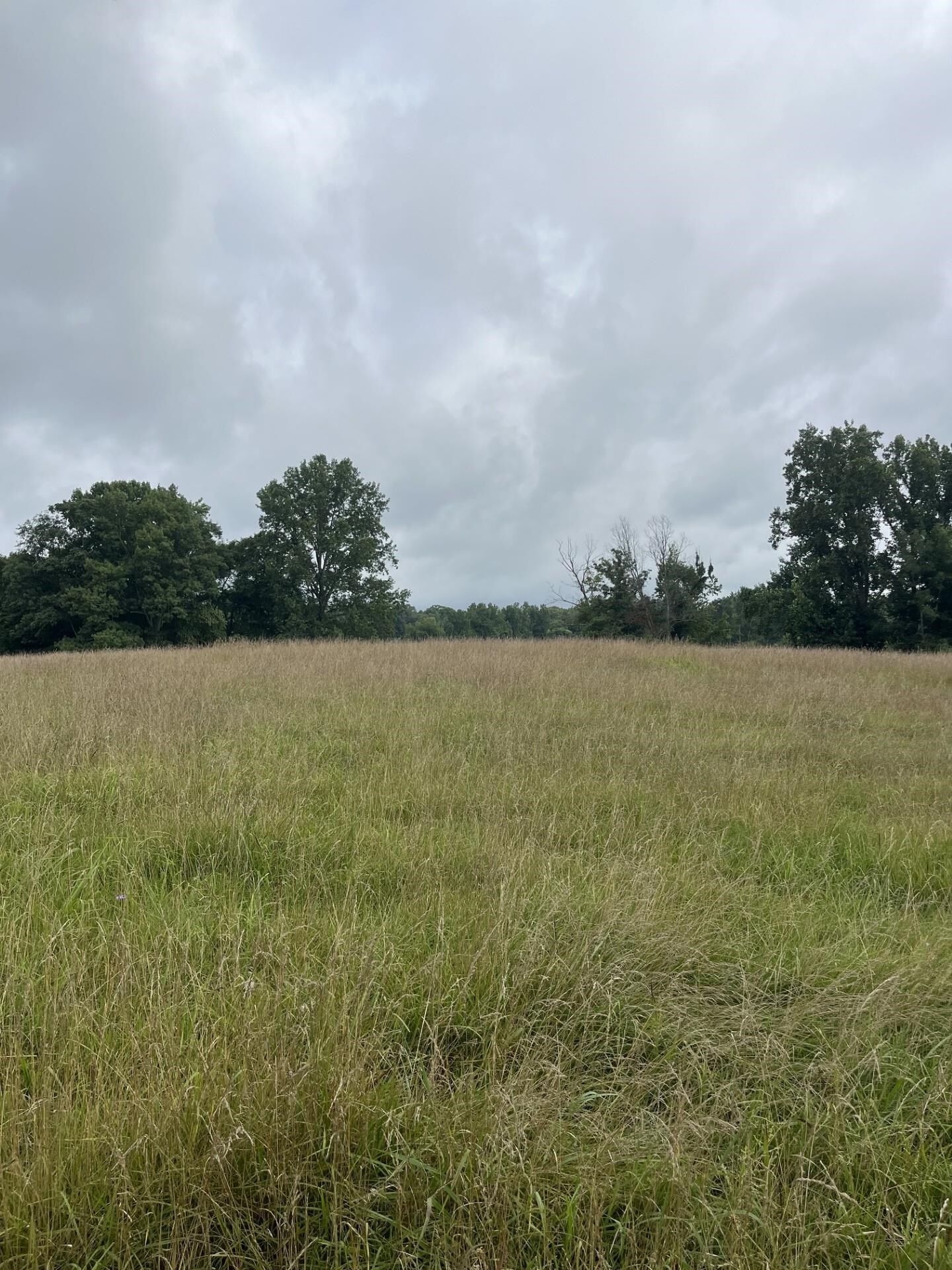 Property Photo:  899 El Smith Rd S  TN 38573 