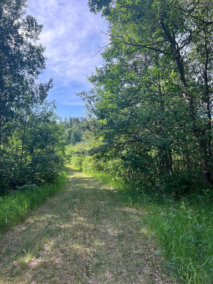 Property Photo: Tbd Main Street E MN 56464