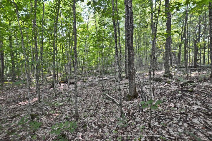 0 Lyndsey Lane Part 2 — photo 1
