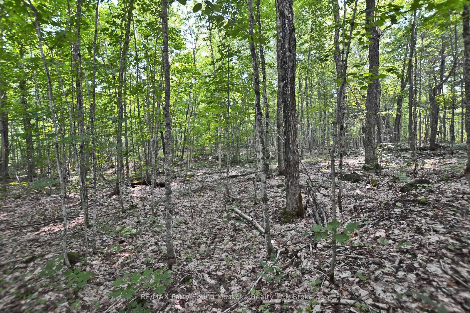 Property Photo:  0 Lyndsey Lane Part 2  ON P2A 0B5 