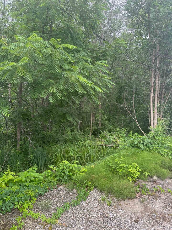 3330 Quetton Street — photo 1