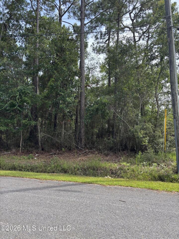 Property Photo:  2104 Peach Street  MS 39564 