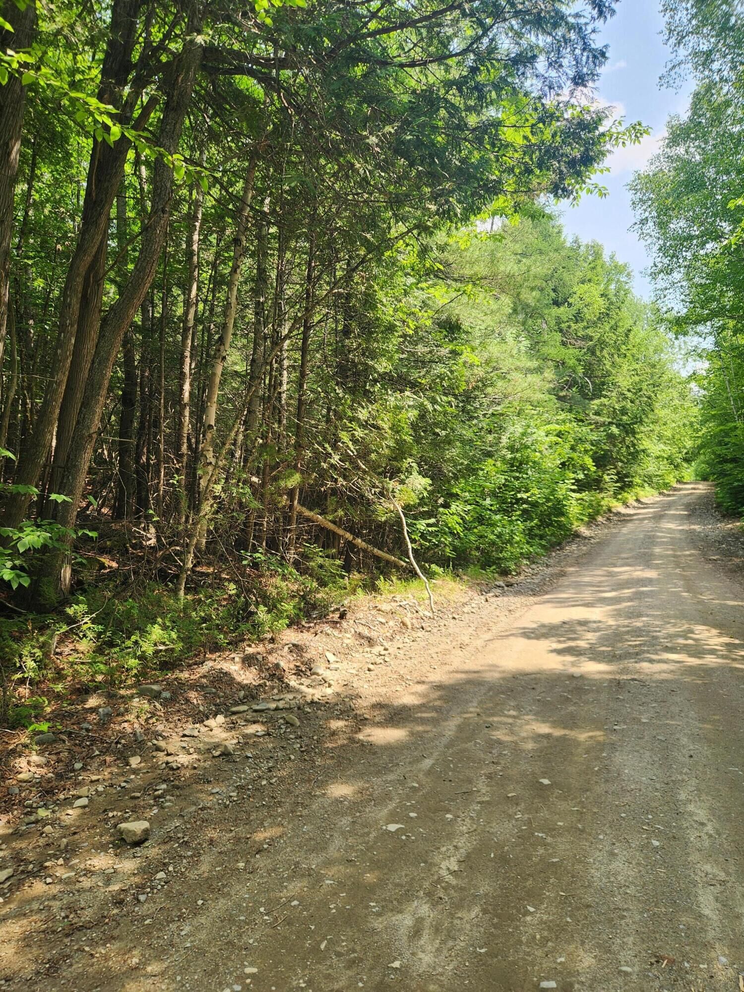 Property Photo:  Lot #44 Mill Hill Road  ME 04487 