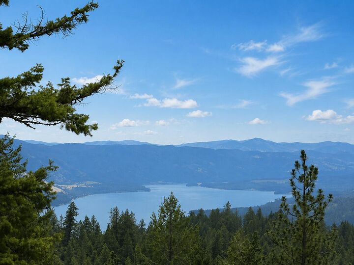 Property Photo: 4xx #L Morning Star Ln WA 99138