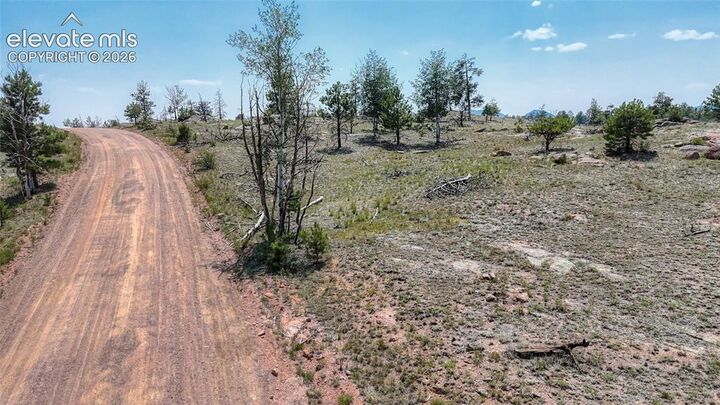 Property Photo:  617 Chateau Vista  CO 80816 