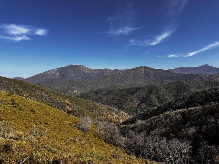 Property Photo:  611 Acres On Lewiston Turnpike Road  CA 96033 