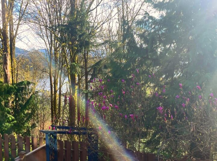 Property Photo: 220 Cornell Way BC V3H 3W2