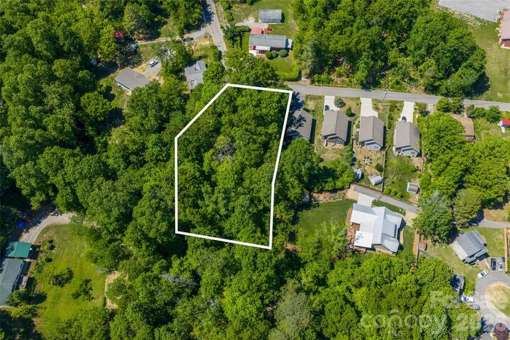 Property Photo:  9999 Mount Allen Heights  NC 28711 