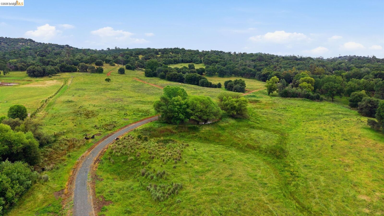 Property Photo: