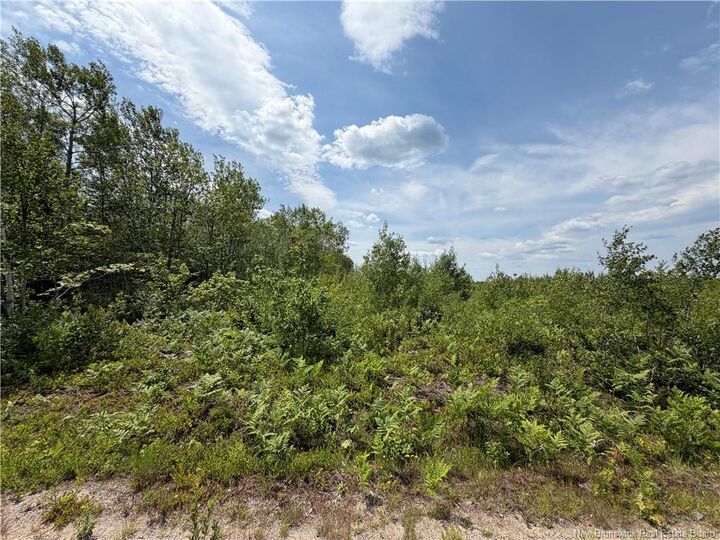 Property Photo:  Lot 3 O'Keefe  NB E1V 6J3 