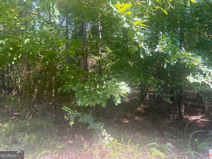 Property Photo:  13 Jewell Drive SE  GA 30161 