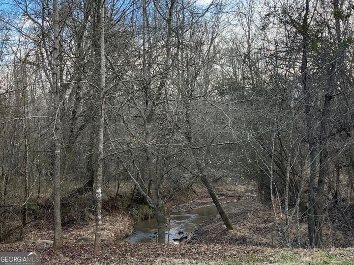Property Photo:  0 Ellis Church Road  GA 31033 