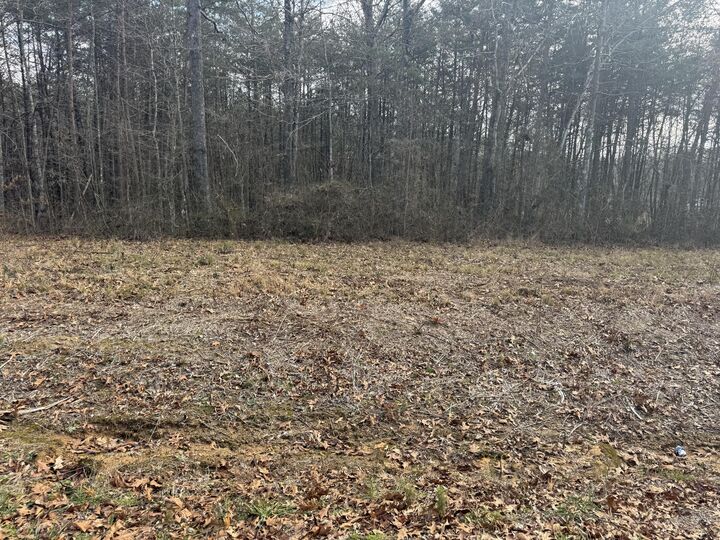 Property Photo: 01 County Road AL 35958