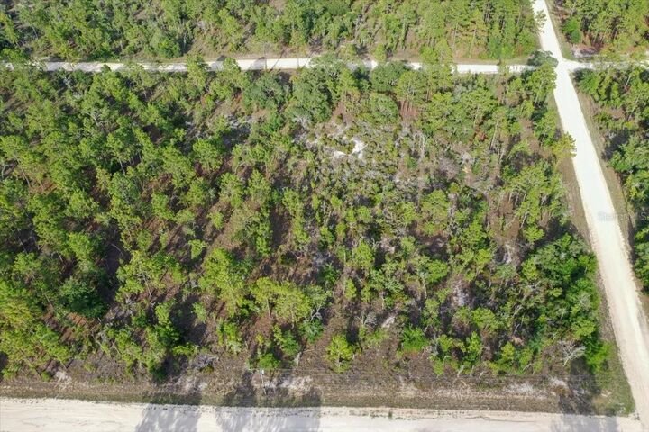 Property Photo: 0000 NE 131 Terrace Lot 6 Terrace FL 32696