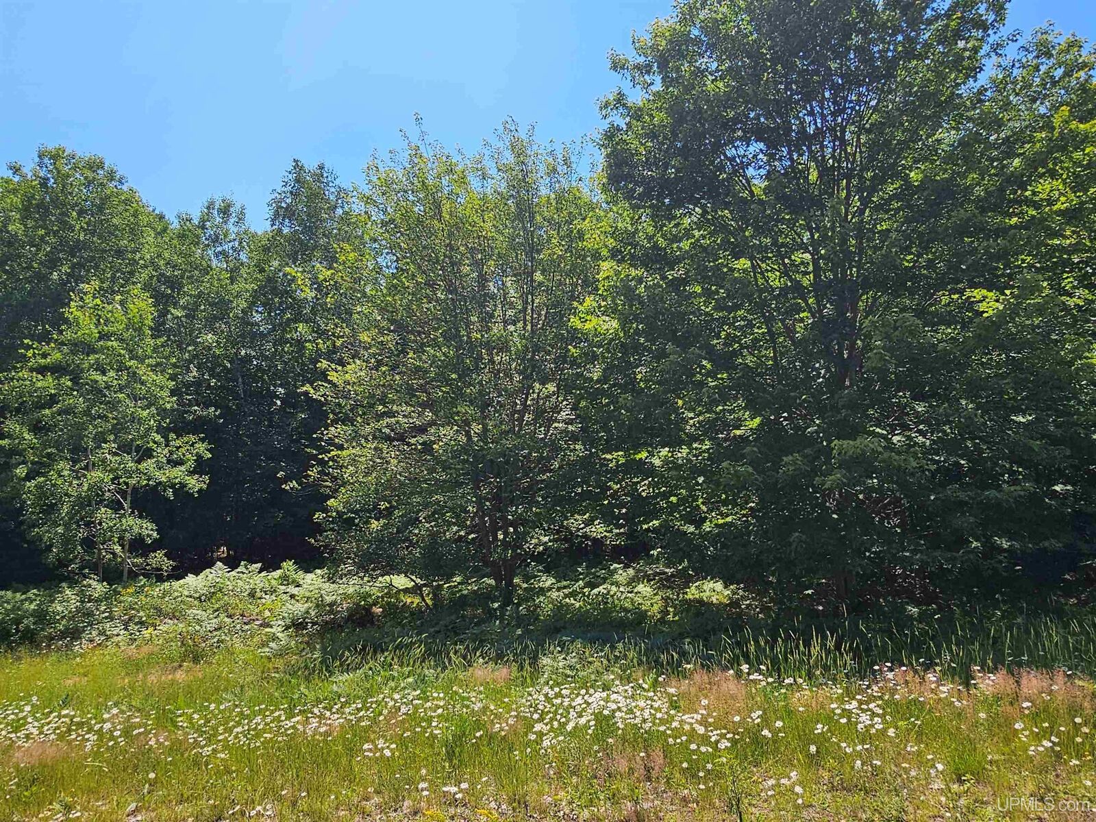 Property Photo:  Tbd Parcel M14 Applewood Drive  MI 49931 