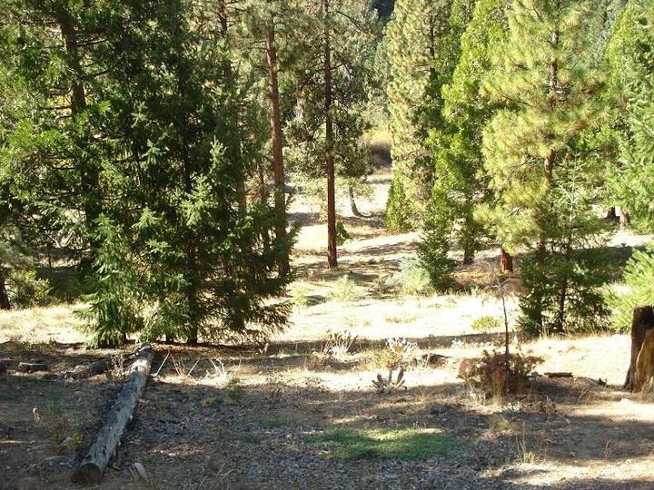 Property Photo: 357 Big Grizzly 4 CA 96122