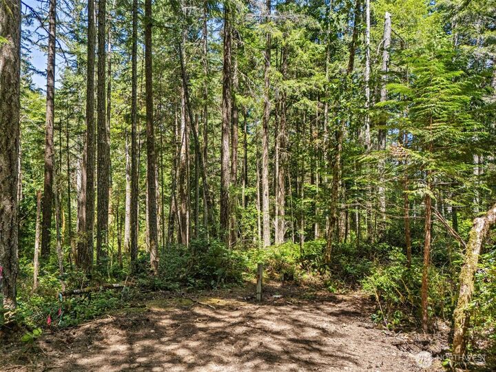 Property Photo: 0 Sp1354 E Glenwood Drive WA 98592
