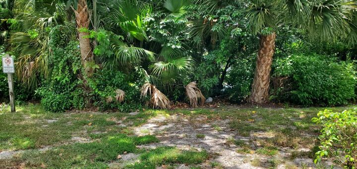 Property Photo: 2303 N Congress Avenue 12 FL 33426