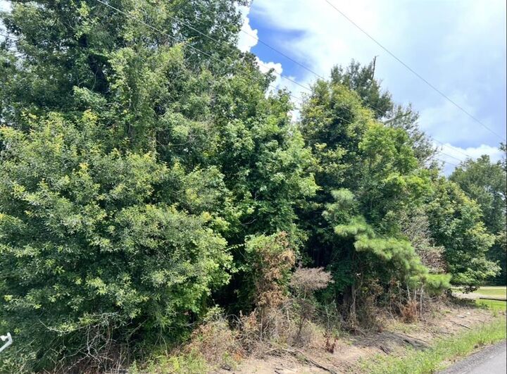 Property Photo:  Tower Road  LA 70669 