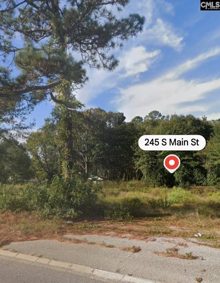 Property Photo:  245 South Main  SC 29053 