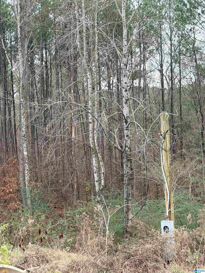 Property Photo: 0 Teal Drive 0 AL 35079