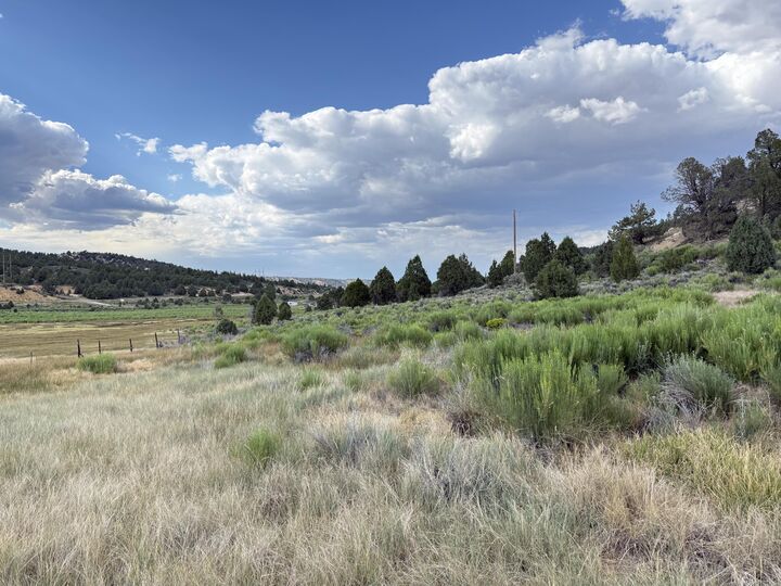 Property Photo:  Chippewa Dr  UT 84762 