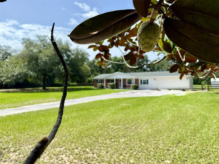 Property Photo: 11215 Russell Drive FL 33584