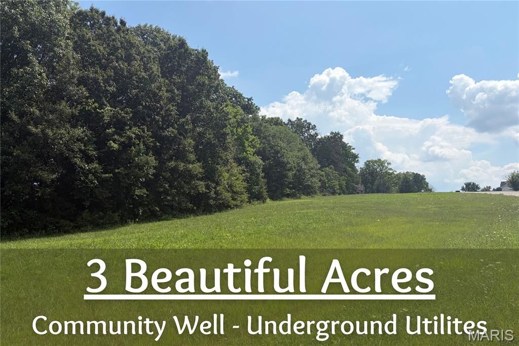Property Photo: 100 Summers Drive MO 63349