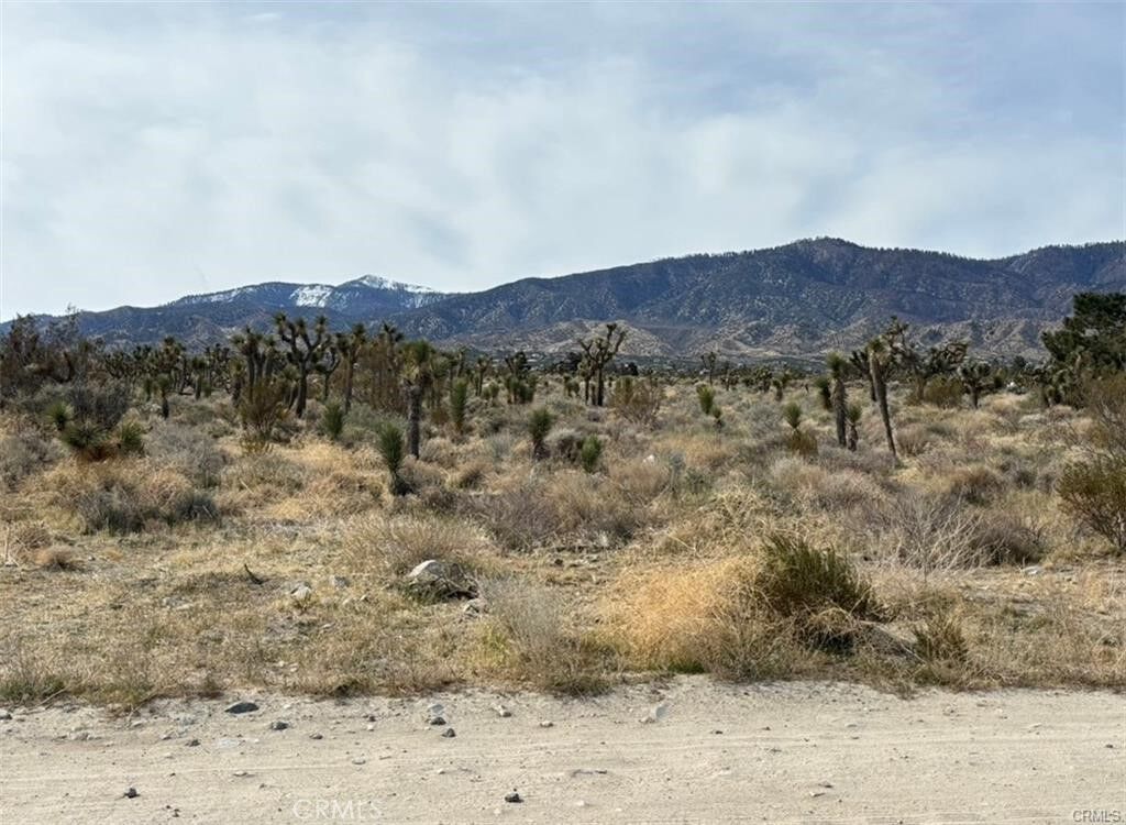 Property Photo: 0 Mono Road CA 92372