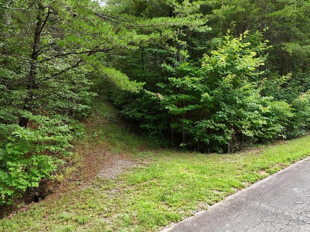 Property Photo:  Lot 5 East Ridge Lane  GA 30540 
