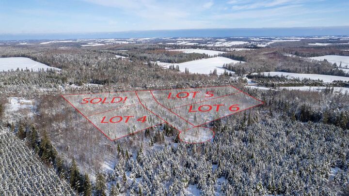 Lot 5 Route 225 — photo 1