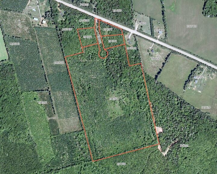 Acreage Pe-225 — photo 1