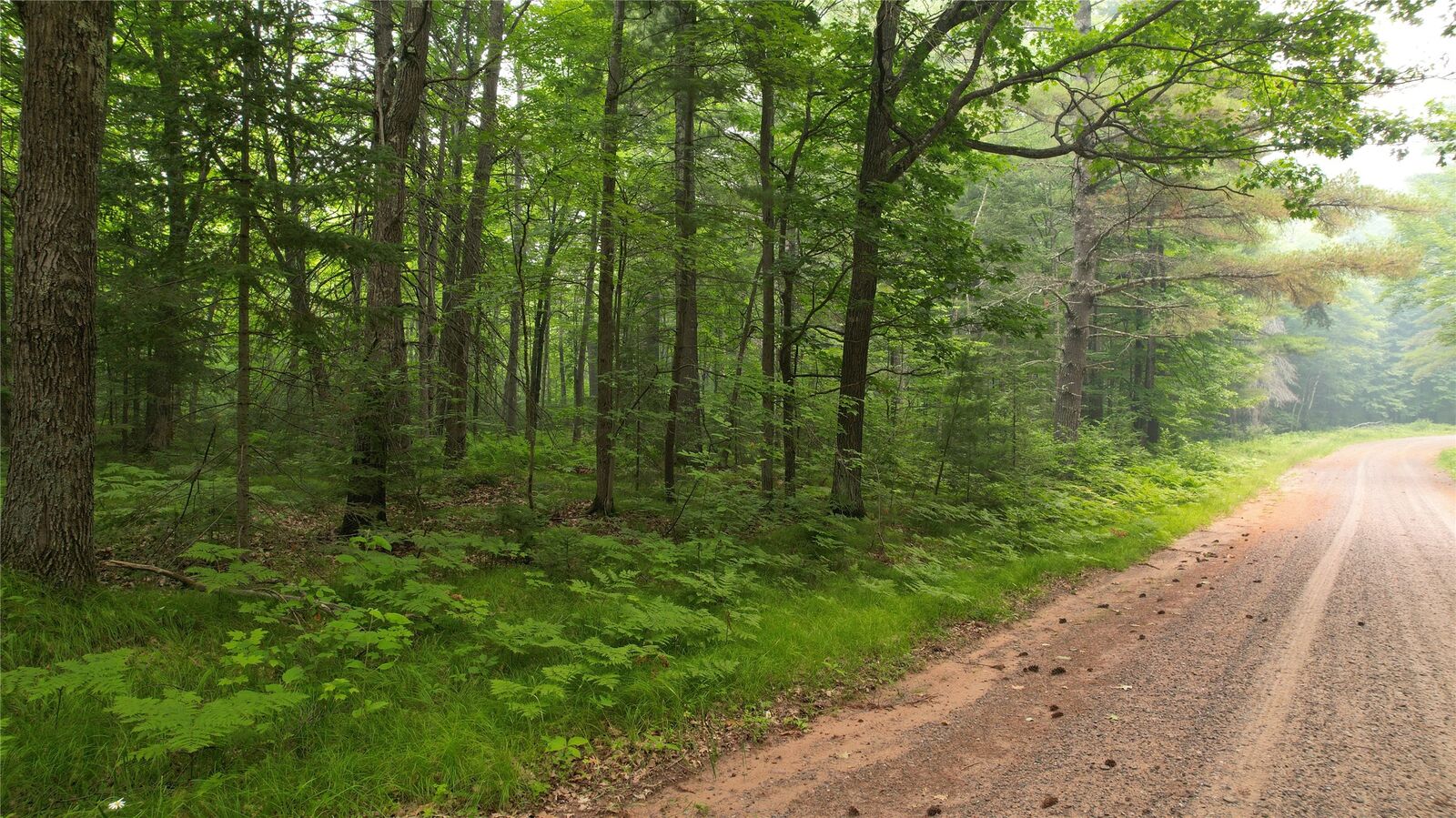 Property Photo: Tbd N Loop Road WI 54832