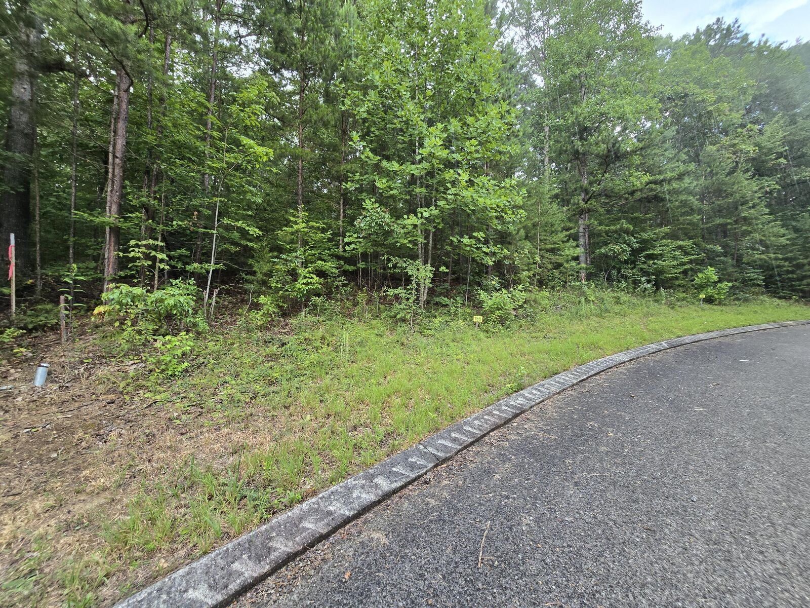Property Photo: Lot 155 Lower Brow Road TN 37327