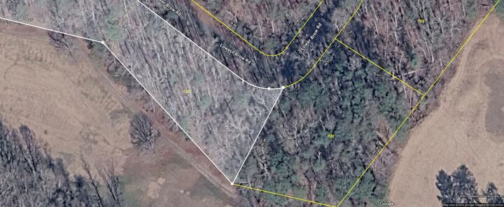 Property Photo:  Lot 133 Lower Brow Road  TN 37327 