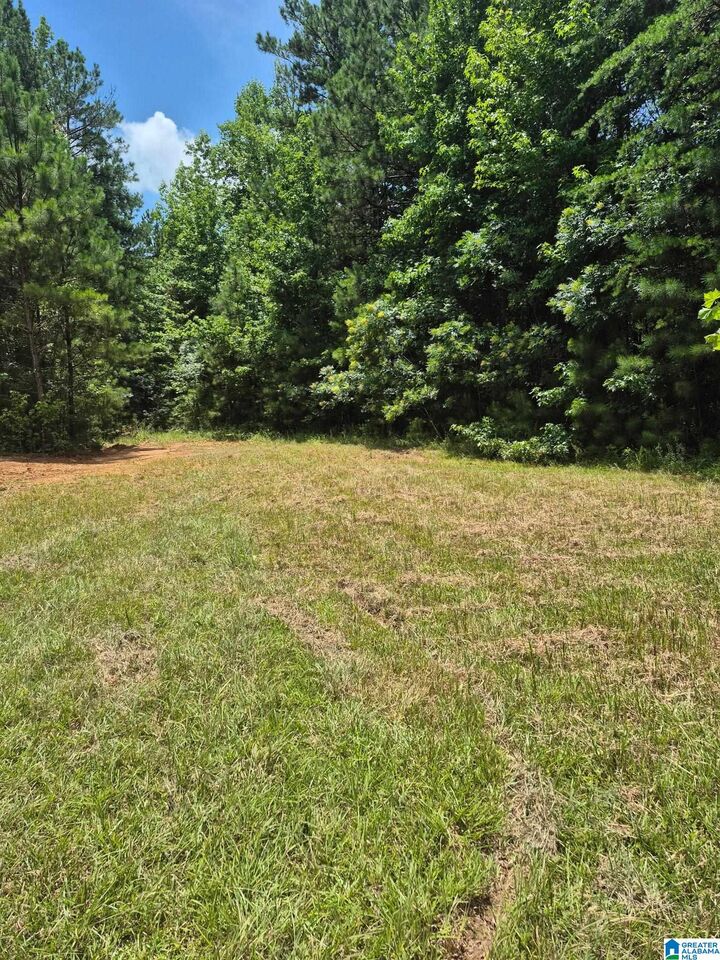 Property Photo:  0 County Road 928  AL 36258 