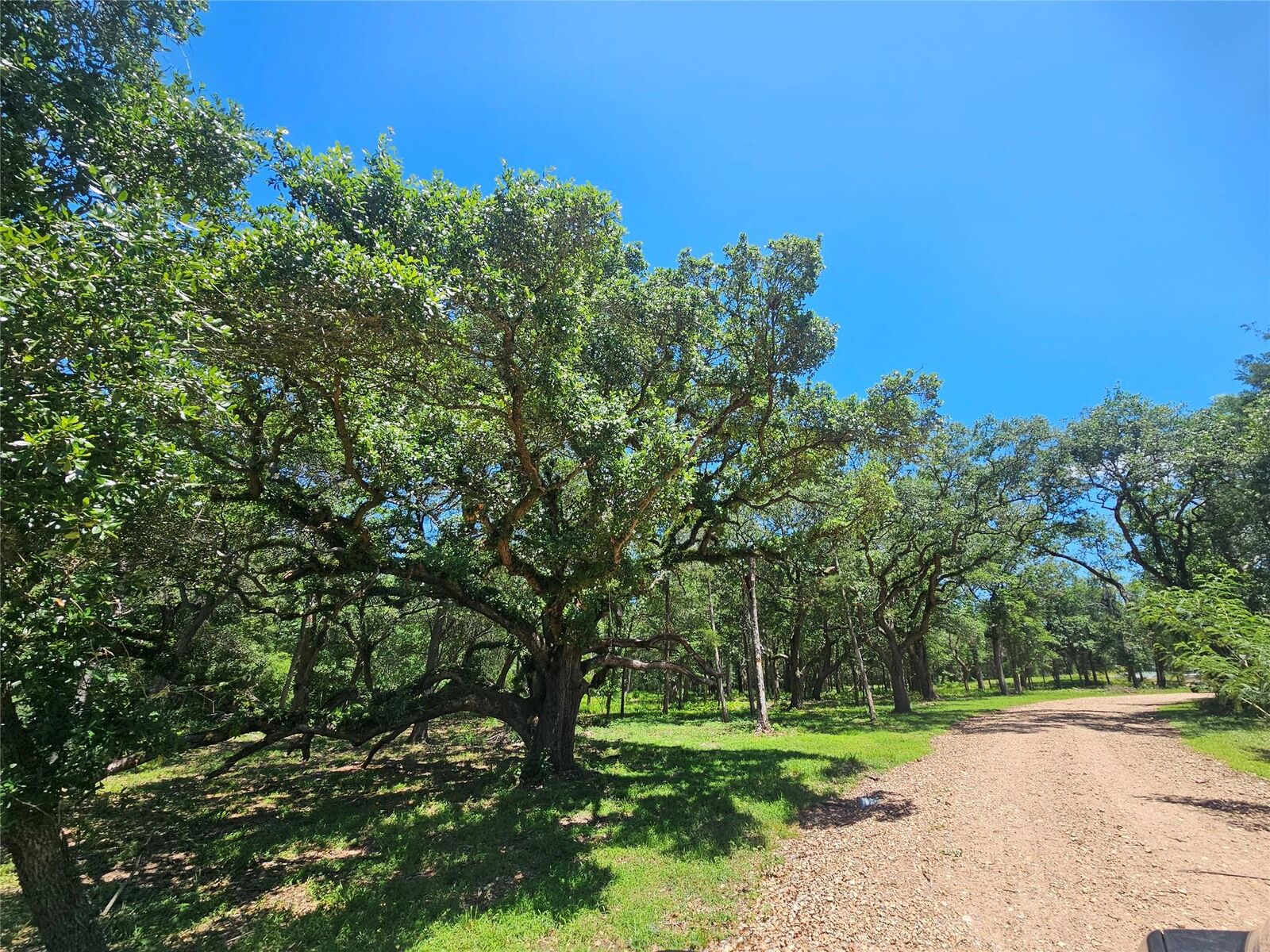 Property Photo: 2980 S Ih 10 TX 78962