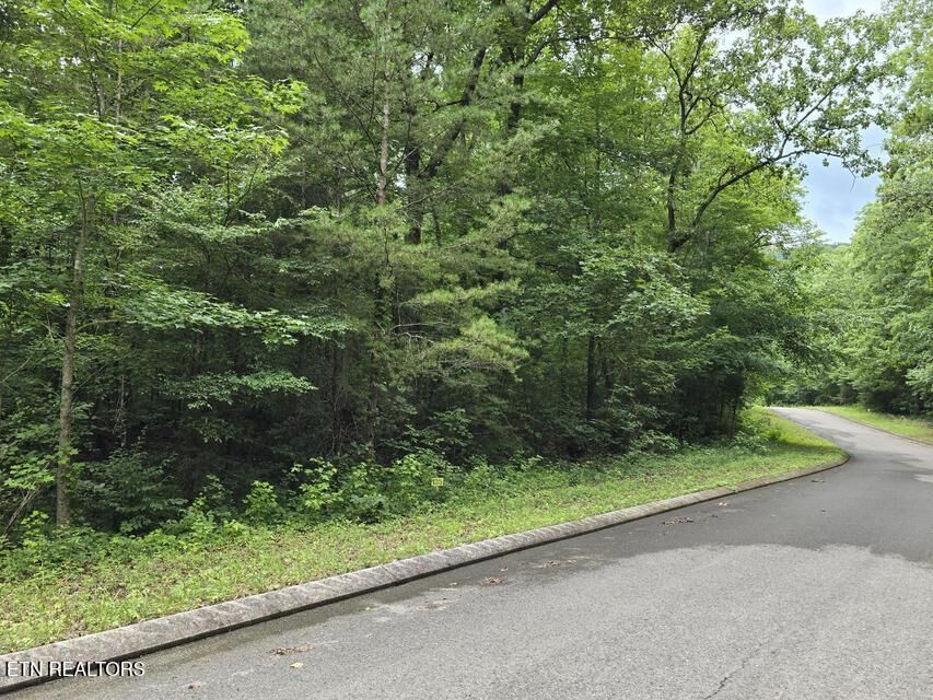 Property Photo:  Lot 135 Lower Brow Rd  TN 37327 