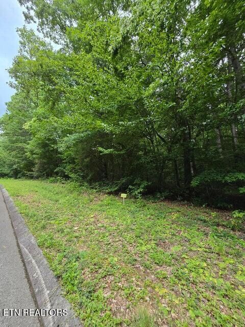 Property Photo:  Lot 138 Lower Brow Rd  TN 37327 