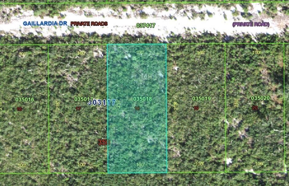 Property Photo: Gallardia Drive FL 33855