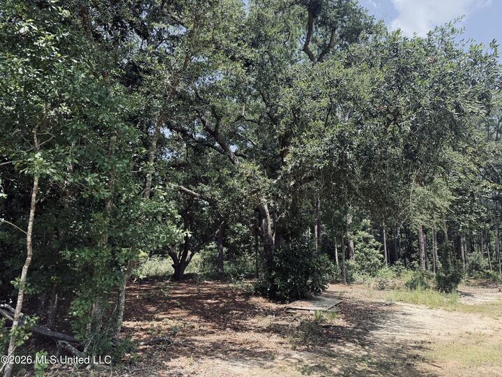 Property Photo: 000 Old Spanish Trail MS 39564