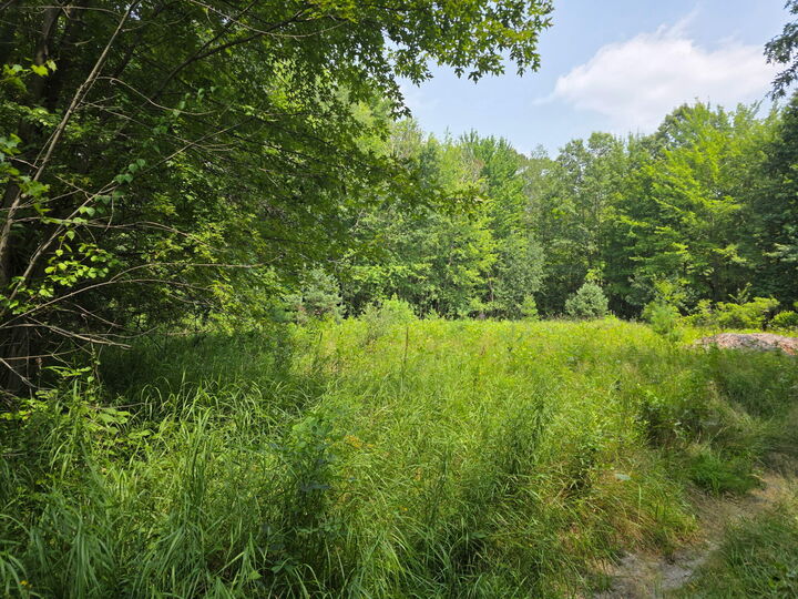 Property Photo: 0 Taft Street MI 49415