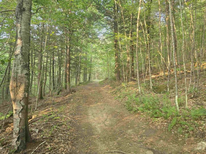 Property Photo: Off Robin Hill Road VT 05359