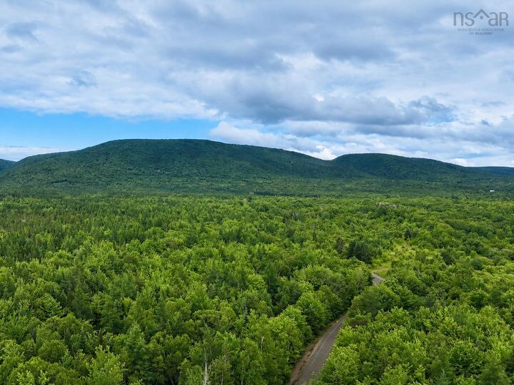 Property Photo: 0 Mt.pleasant Big Brook Rd. NS B0E 2H0