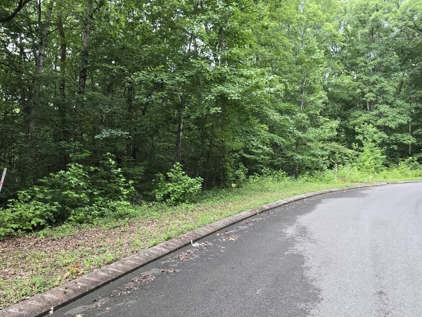 Property Photo: Lot 141 Lower Brow Road TN 37327