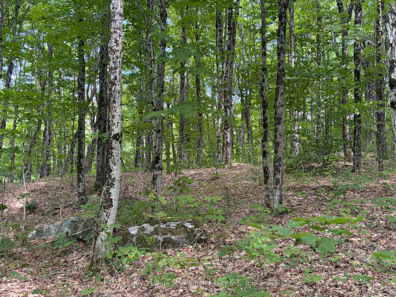 Property Photo:  Part Lot 11 &Amp 12 Chikopi Road  ON P0A 1P0 