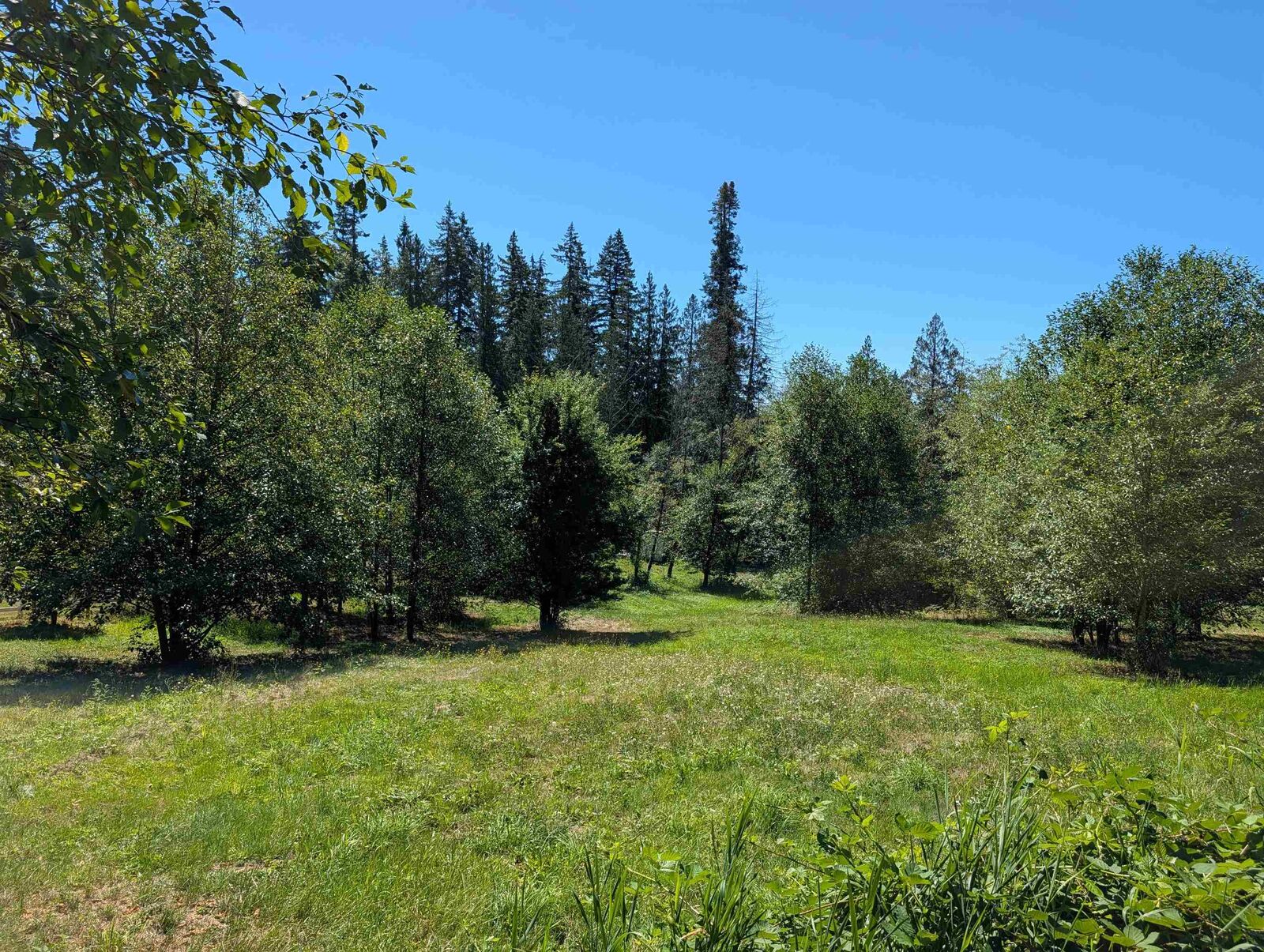 Property Photo: 26713 96 Avenue BC V2W 1K2