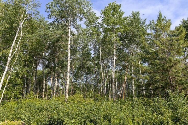 Property Photo: 38 Jackpine Crescent MB R0A 2N0